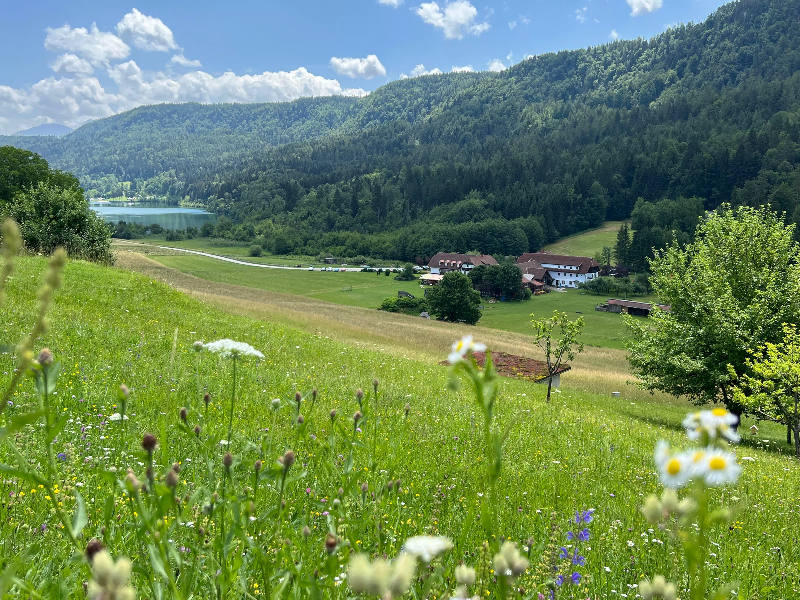 Unser Familienhotel - mitten im Grünen