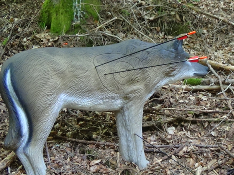 Wolf im 3D-Bogenparcours